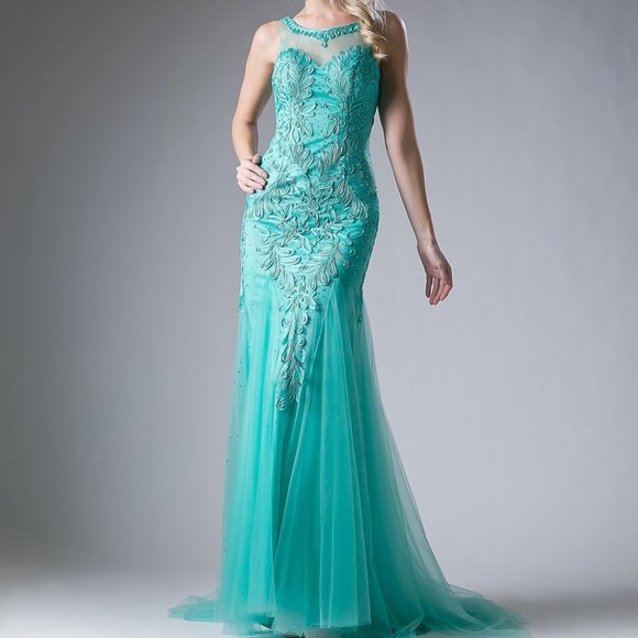 Illusion Neck Mermaid Shape Prom Dress CD8936